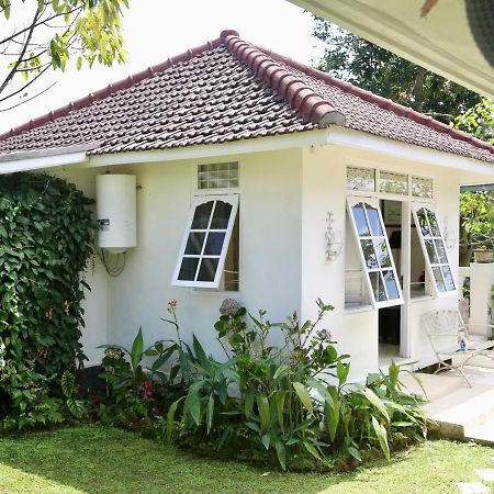 Pondok Plantation Luxury Mountain Escape Bedugul Bedugul  Εξωτερικό φωτογραφία