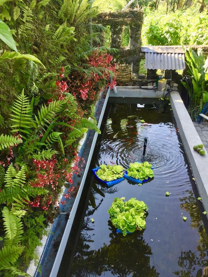 Pondok Plantation Luxury Mountain Escape Bedugul Bedugul  Εξωτερικό φωτογραφία