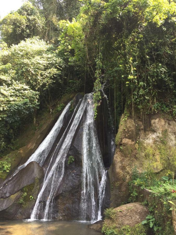 Pondok Plantation Luxury Mountain Escape Bedugul Bedugul  Εξωτερικό φωτογραφία