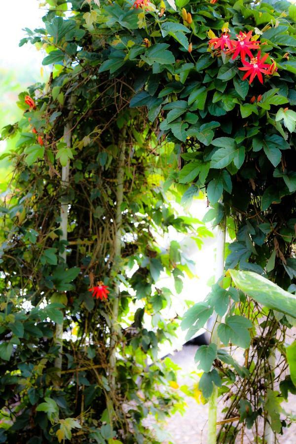 Pondok Plantation Luxury Mountain Escape Bedugul Bedugul  Εξωτερικό φωτογραφία