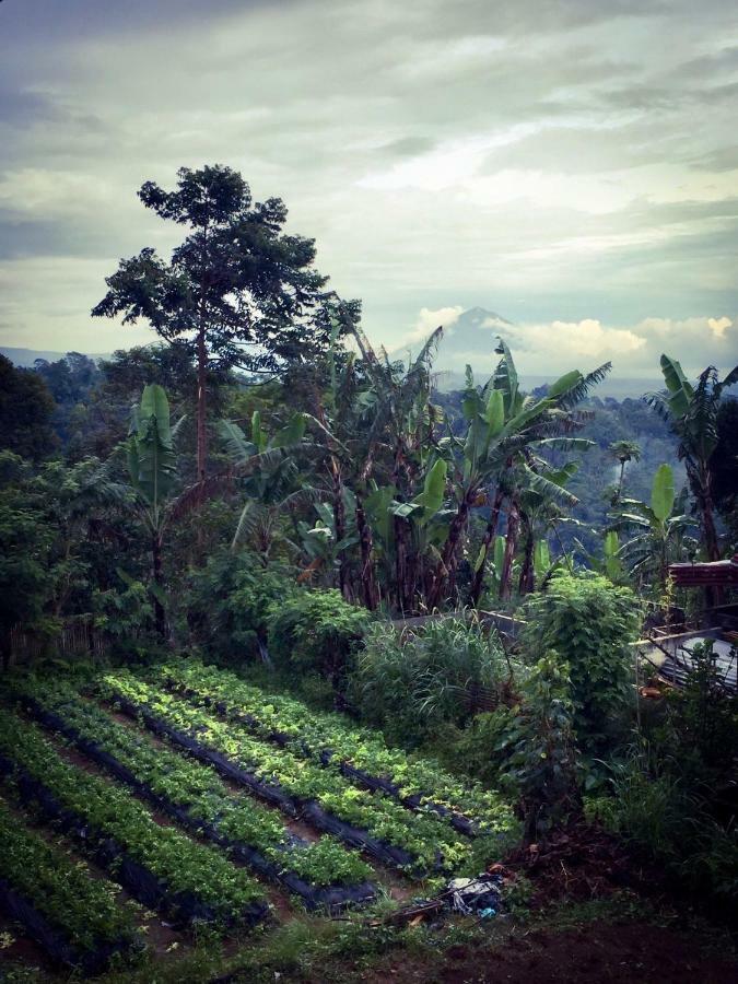 Pondok Plantation Luxury Mountain Escape Bedugul Bedugul  Εξωτερικό φωτογραφία